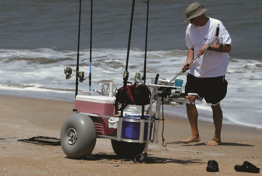 Teach Me Surf Fishing The Ultimate Surf Casters Guide